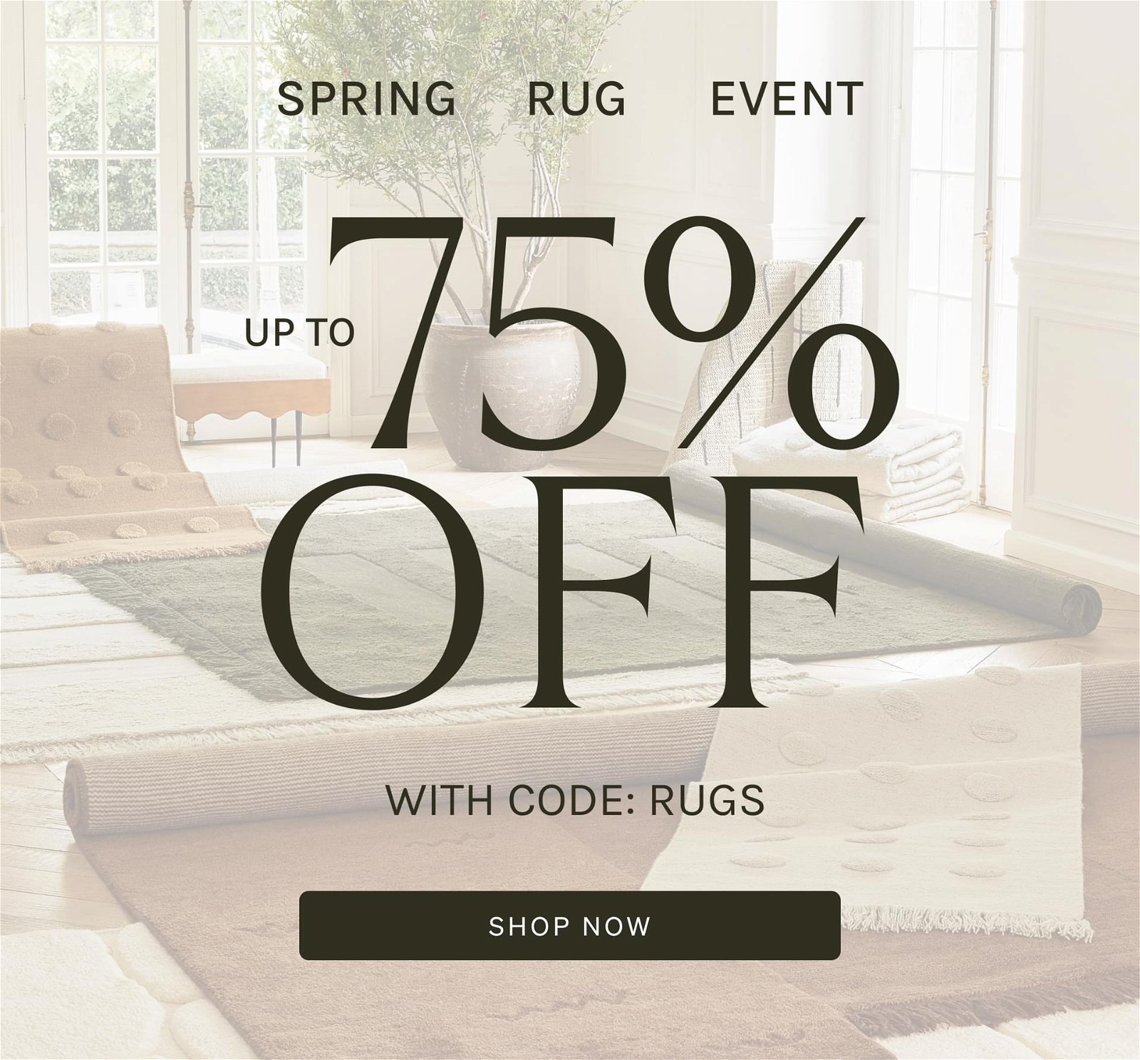 Shop Rugs Sale