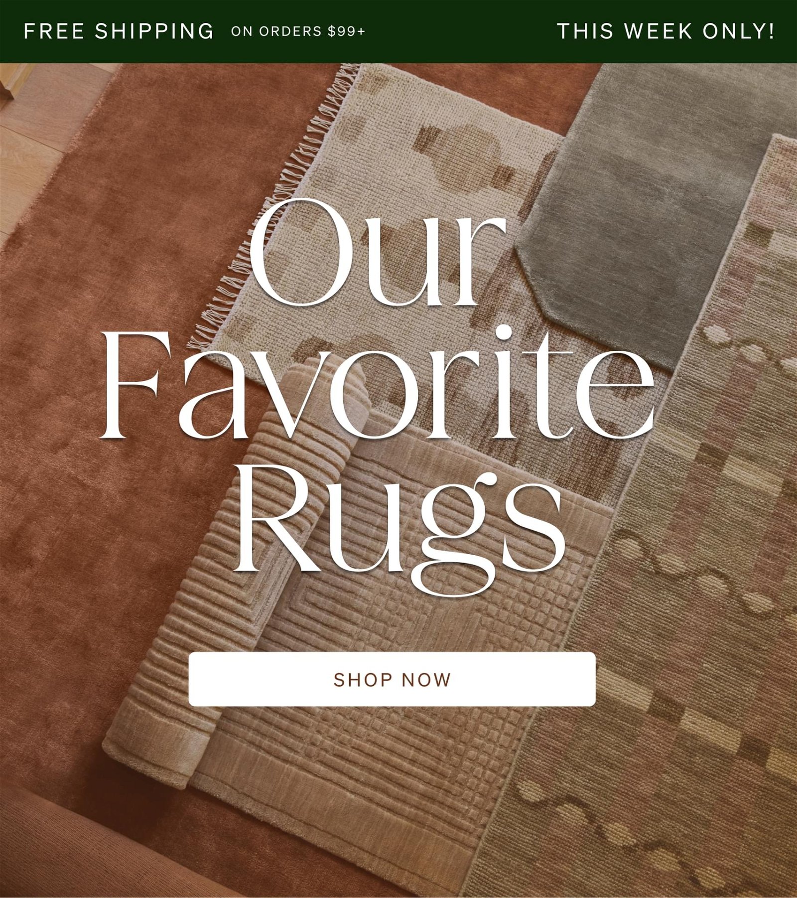 Shop Rugs