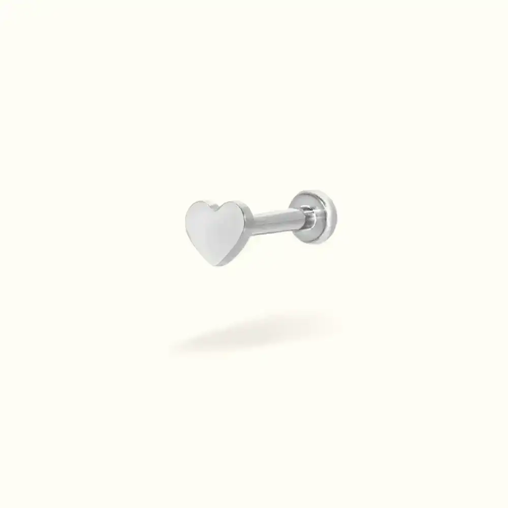 Image of Titanium Heart Single Earring