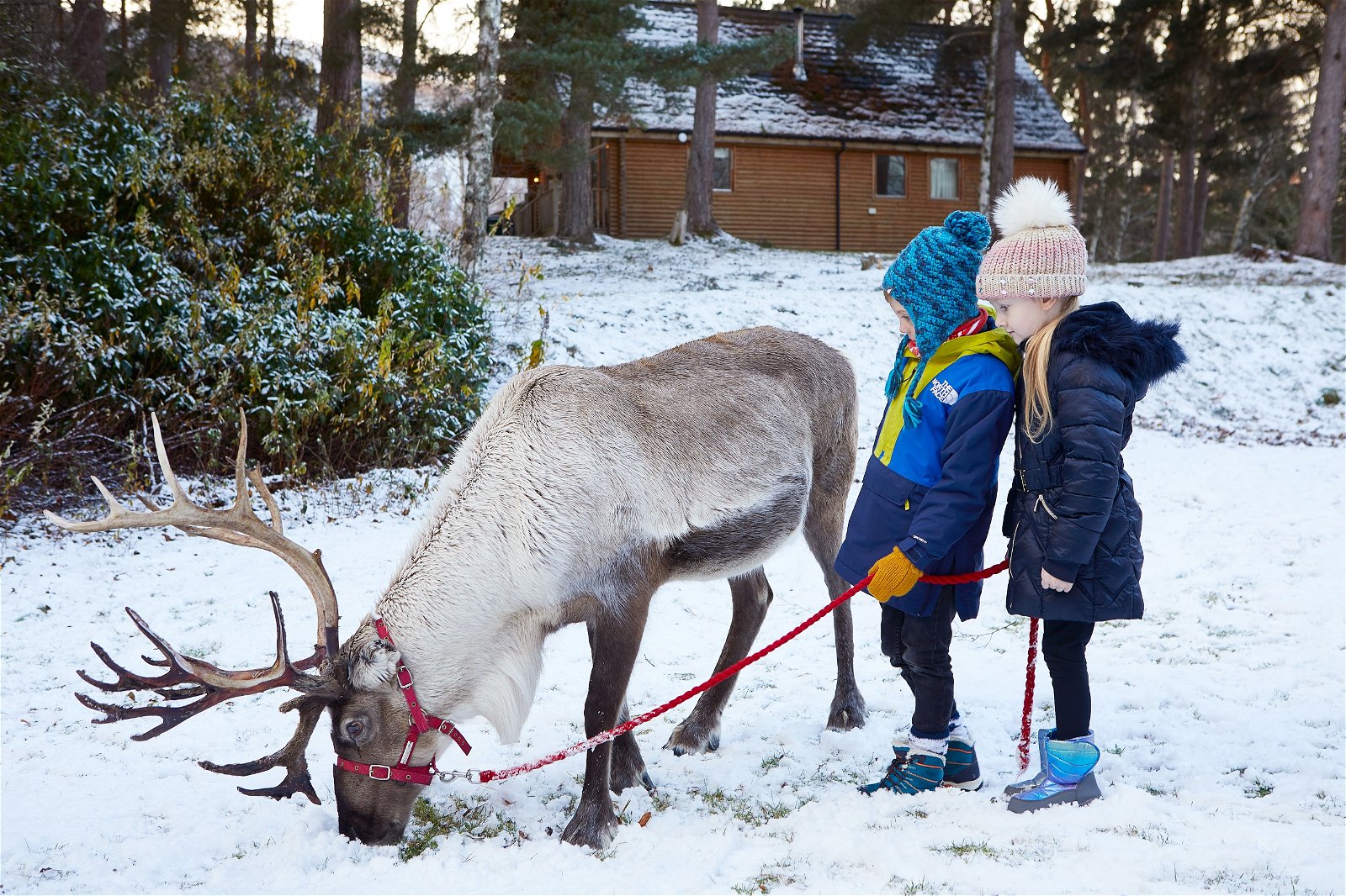 Aviemore Santa Breaks