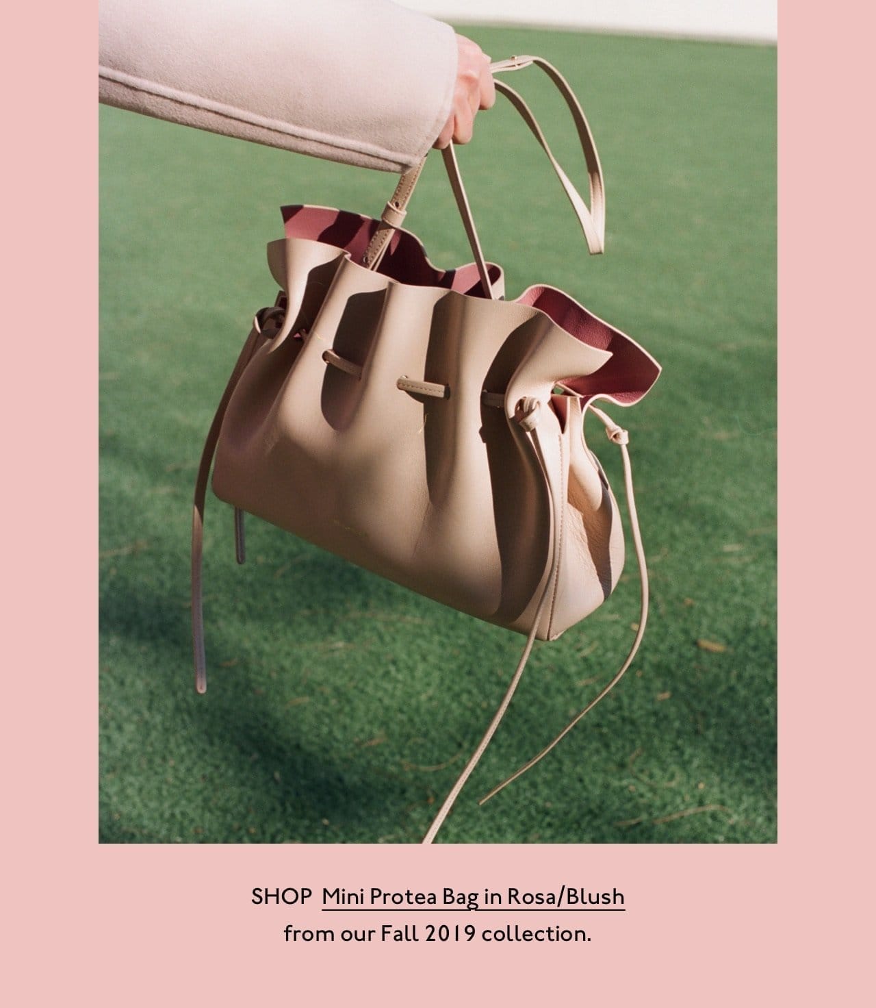 Shop the Mini Protea Bag in Rosa/Blush from our Fall 2019 collection.