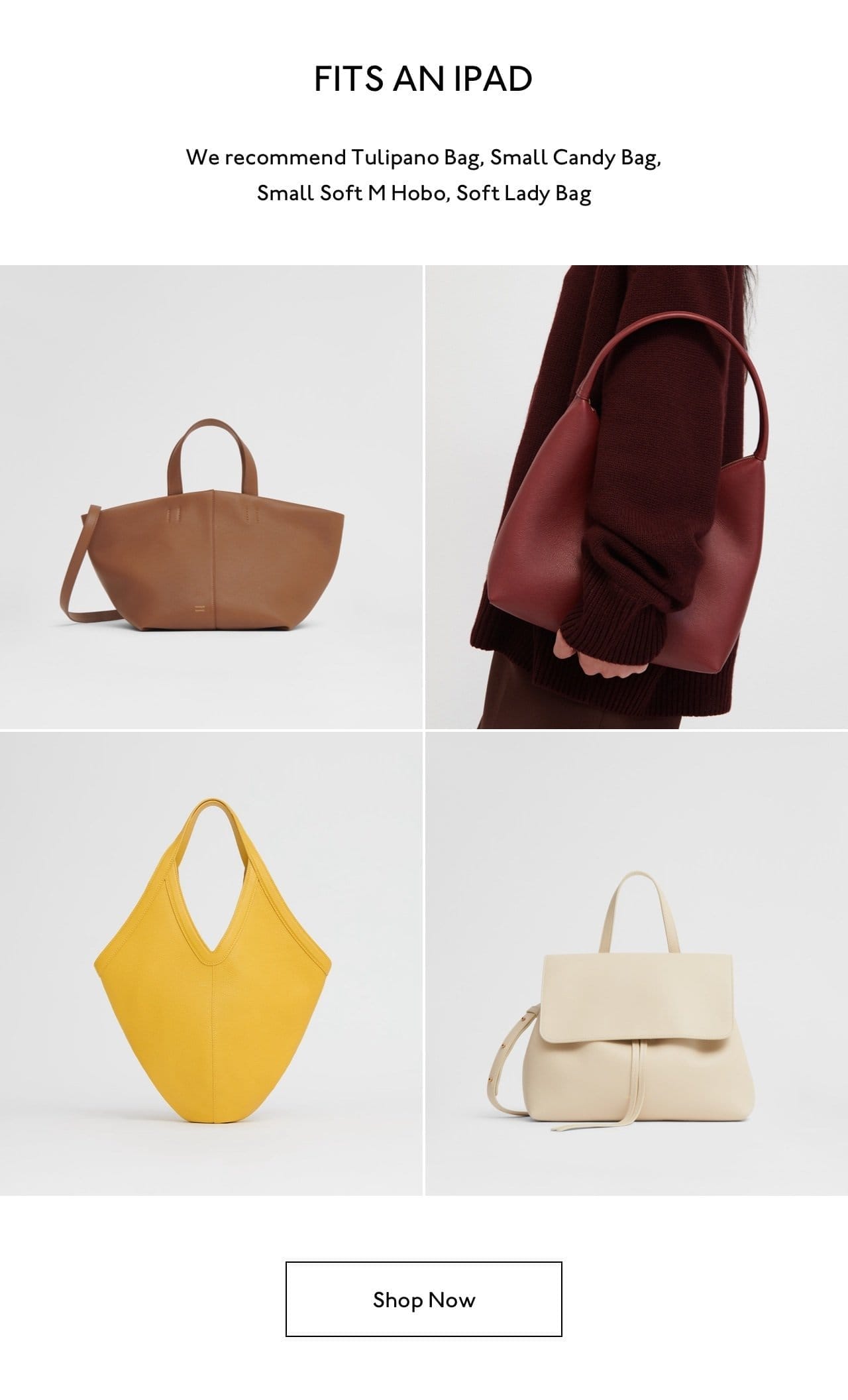 Fits an iPad. We recommend Tulipano Bag, Small Candy Bag, Small Soft M Hobo, Soft Lady Bag.