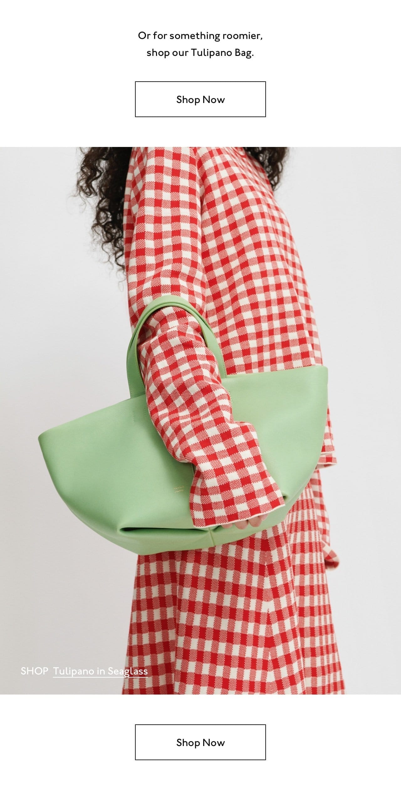 Or for something roomier, shop our Tulipano Bag in five seasonal colors. Pictured: Tulipano in Seaglass.