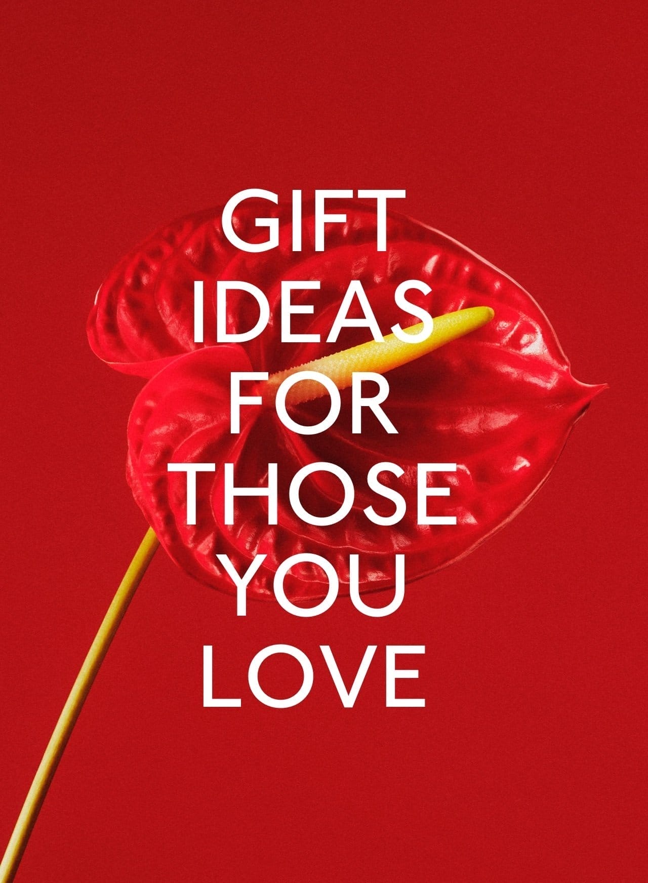 Gift ideas for those you love.