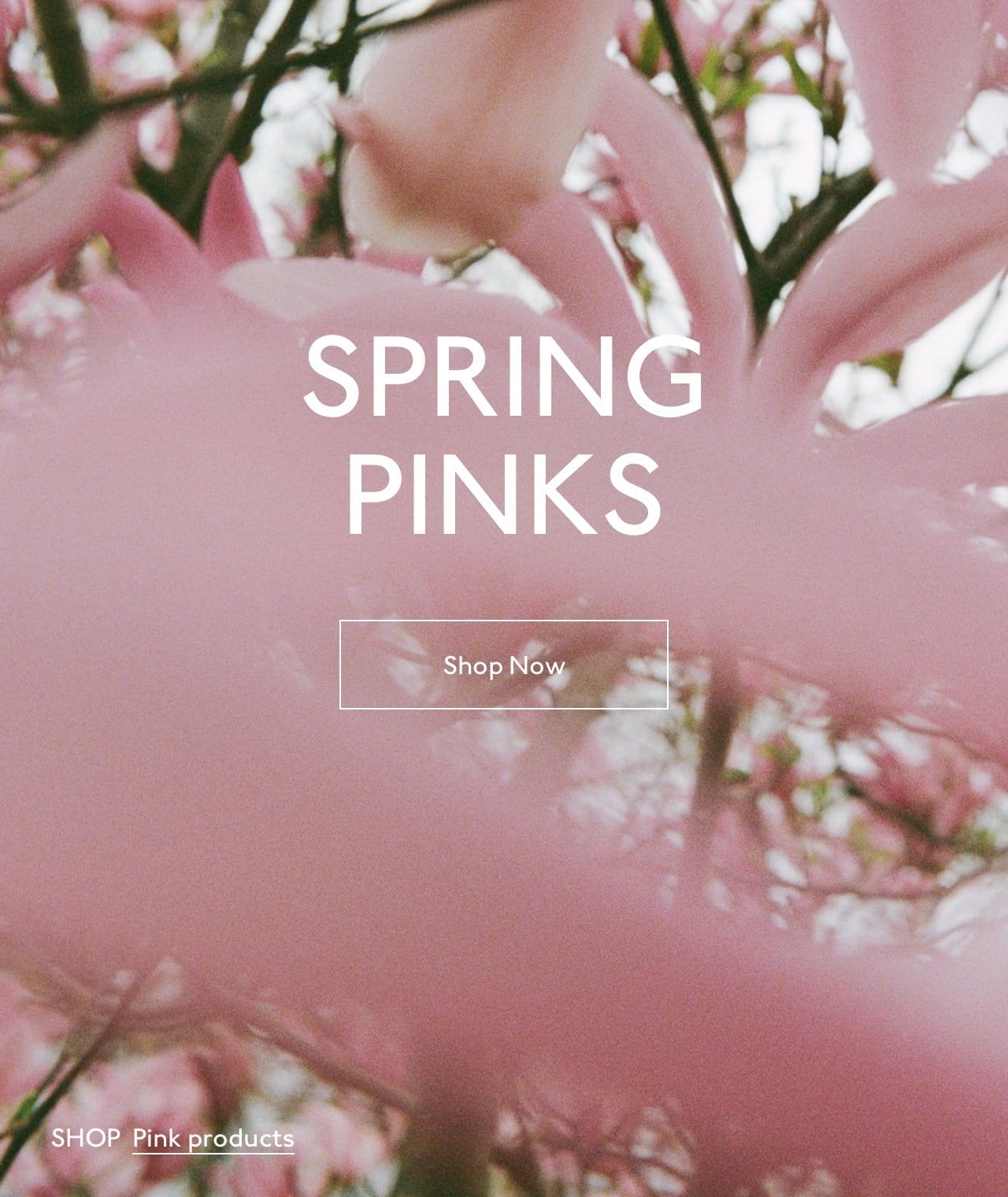 Shop pink pieces. Picutred: cherry blossoms in bloom.
