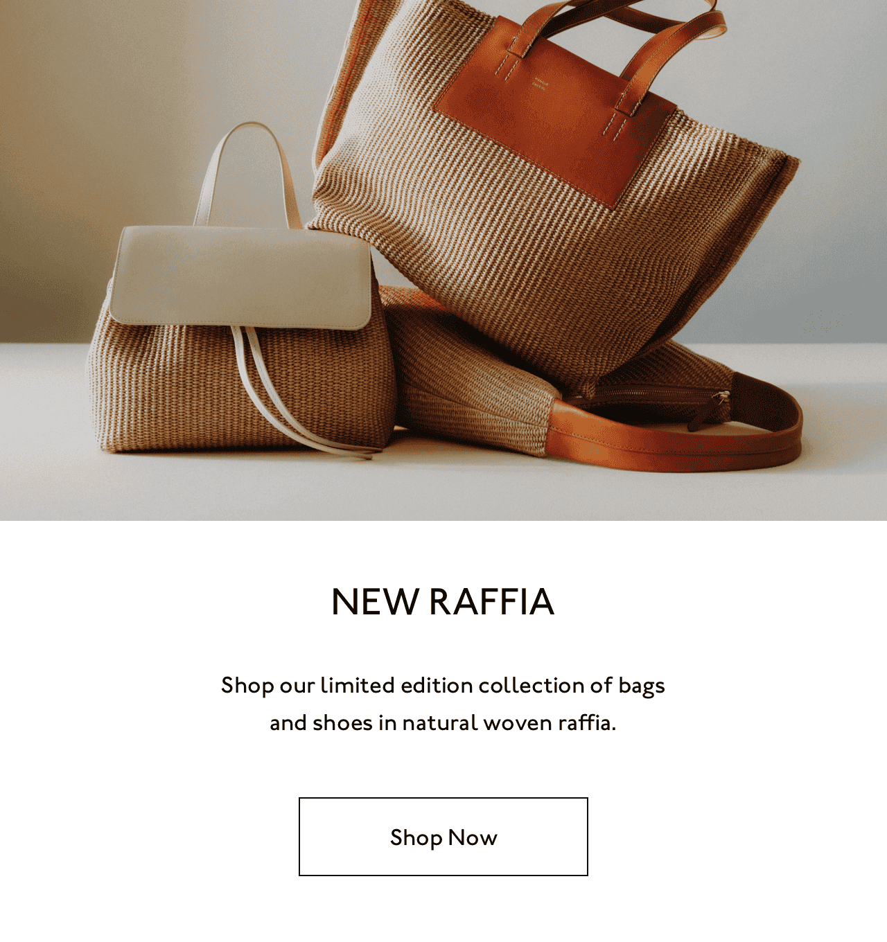 Natural beauty. Shop our new raffia ballerinas now.