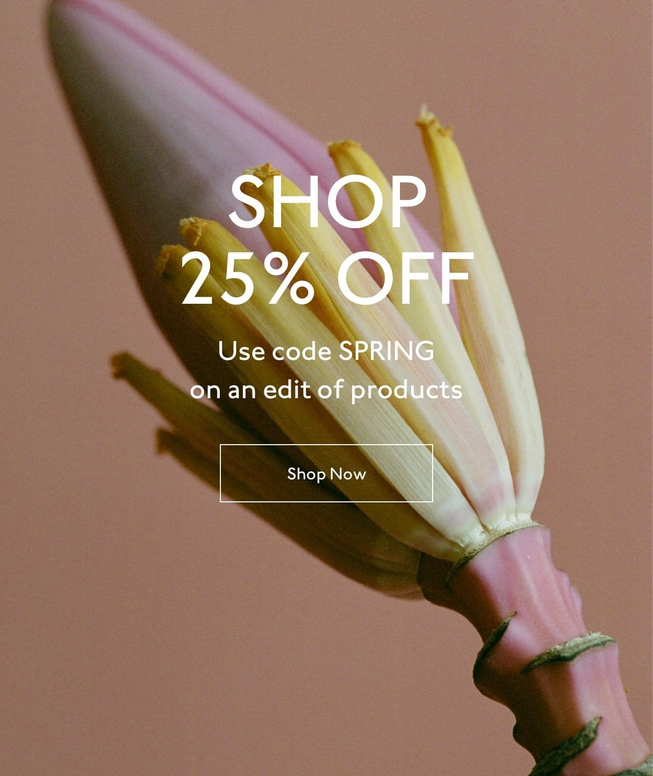 For a limited time shop 25% off an edit of products with code SPRING.