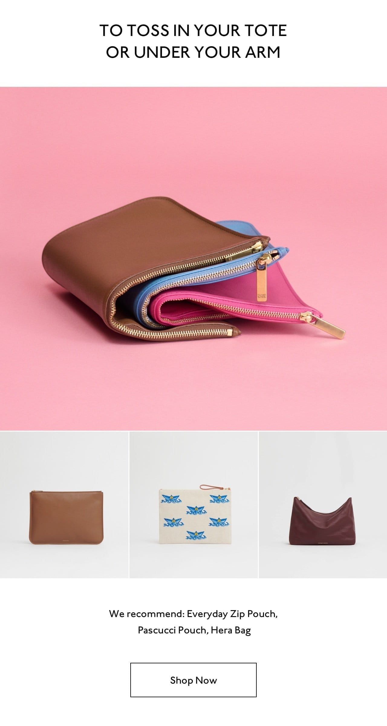 To toss in your tote or under your arm we recommend: Everyday Zip Pouch, Pascucci Pouch, Hera Bag.