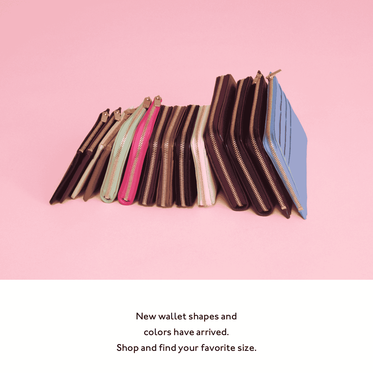 New wallet shapes and colors have arrived. Shop and find your favorite size.