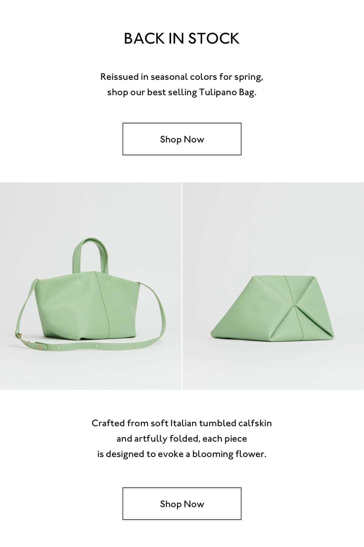 Reissued in seasonal colors for spring, shop our best selling Tulipano bag. Picutred: the Tulipano Bag in Seaglass. Shop now.