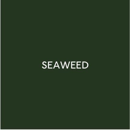 Shop Seaweed bags.