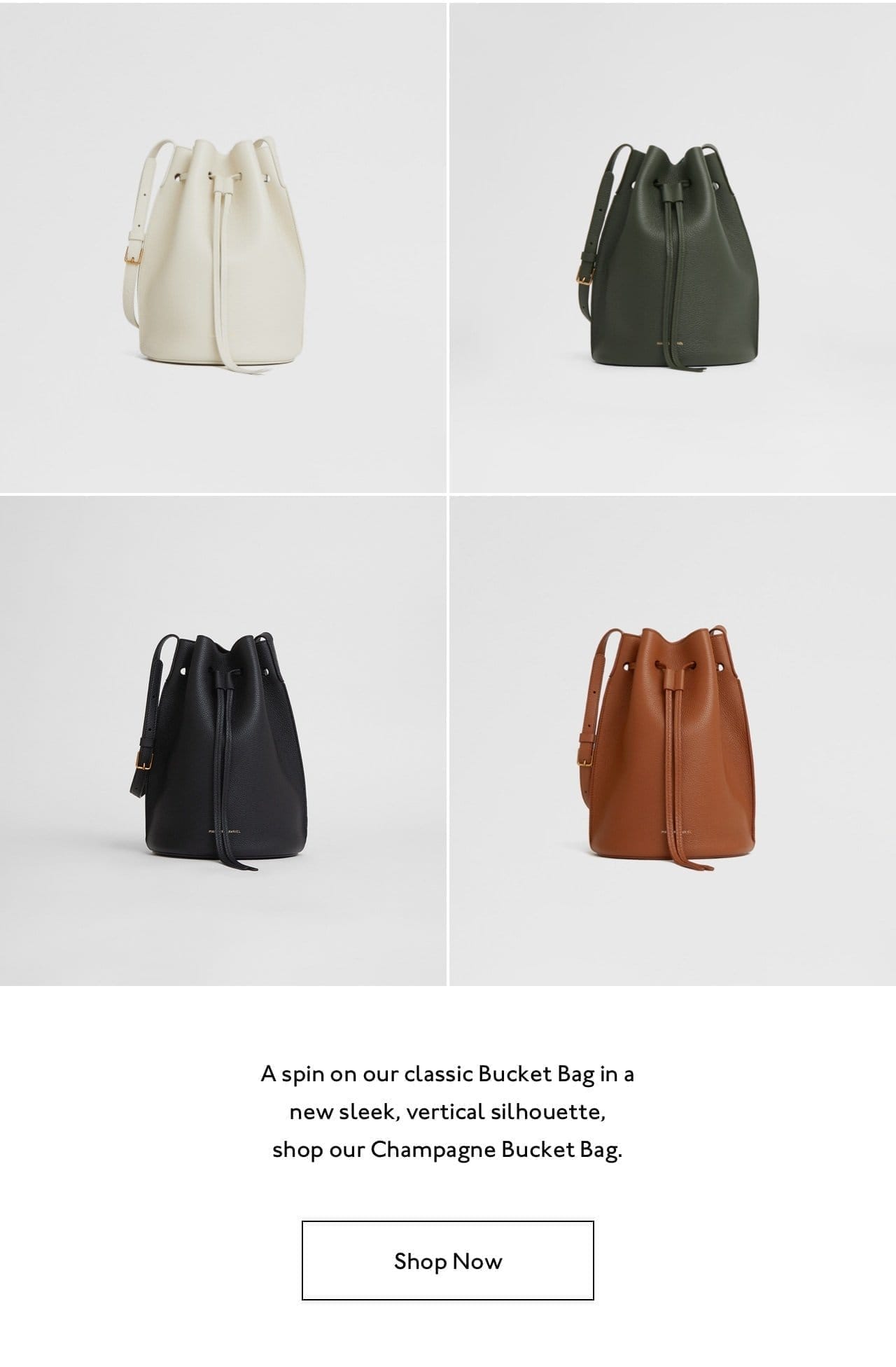 A spin on our clsasic Bucket Bag in a new sleek, vertical silhouette, shop our Champagne Bucket Bag.