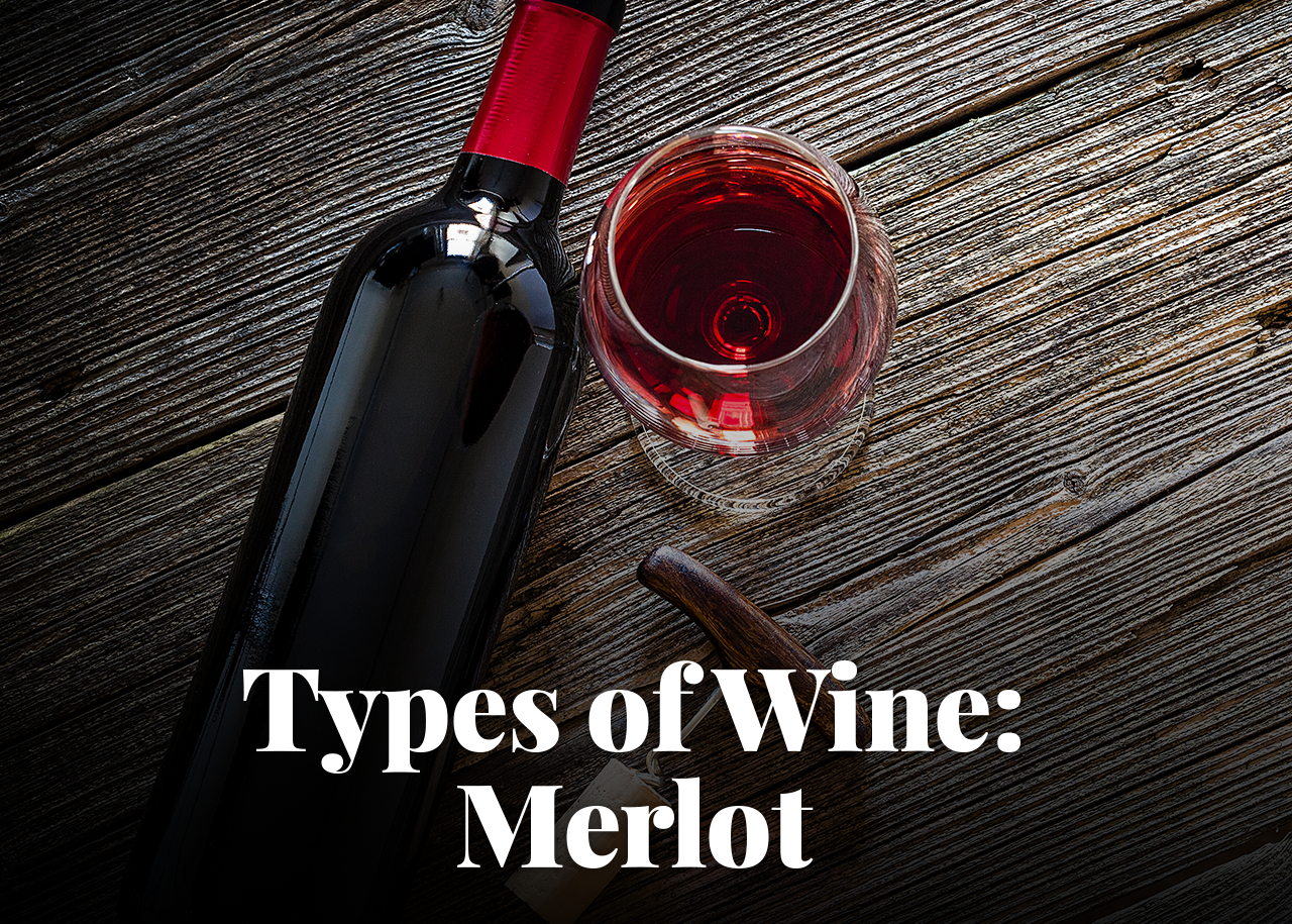 Types of Wine: Merlot