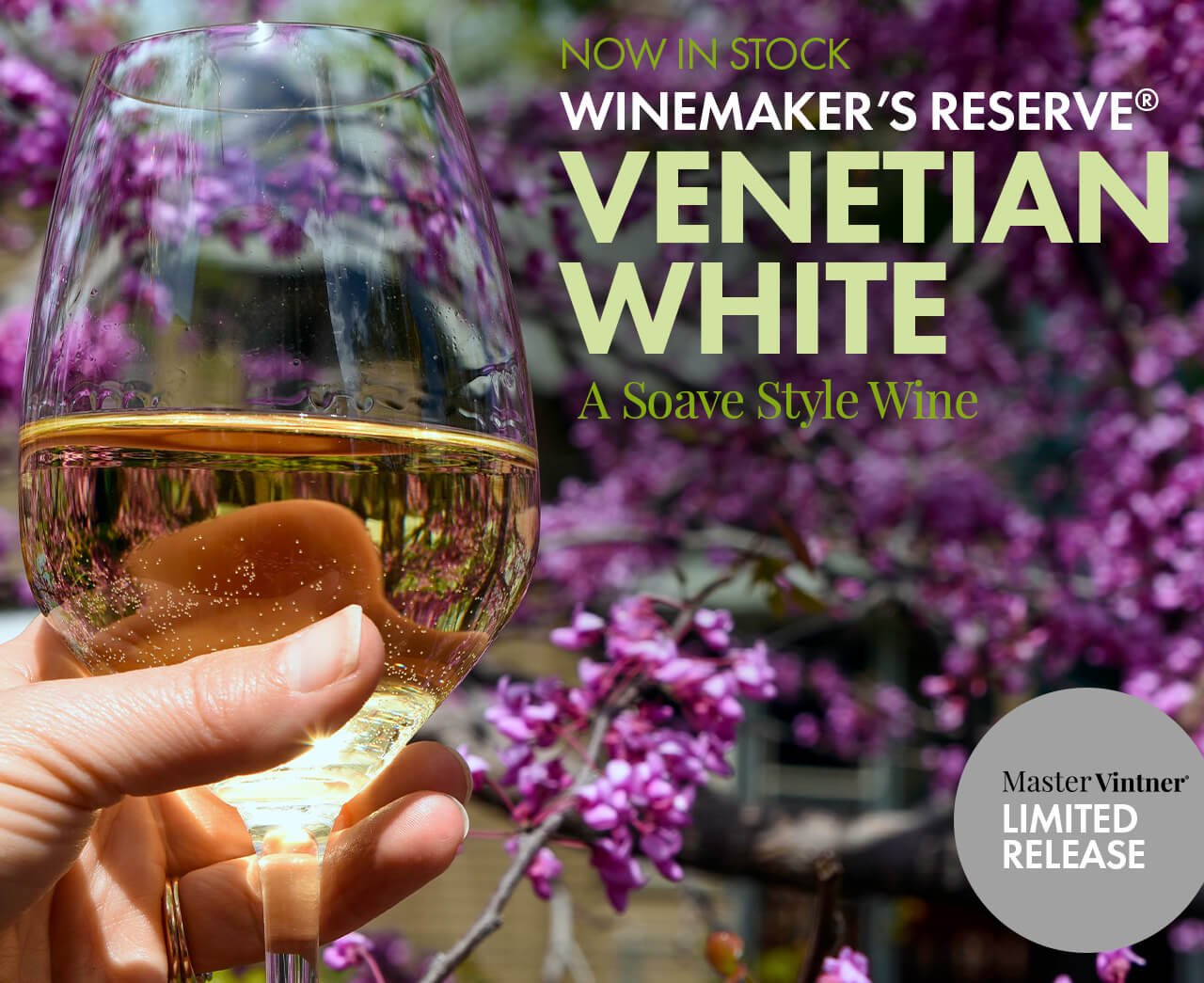 Now in Stock! Winemaker’s Reserve Venetian White A Soave Style Wine The Newest Limited Release by Master Vintner