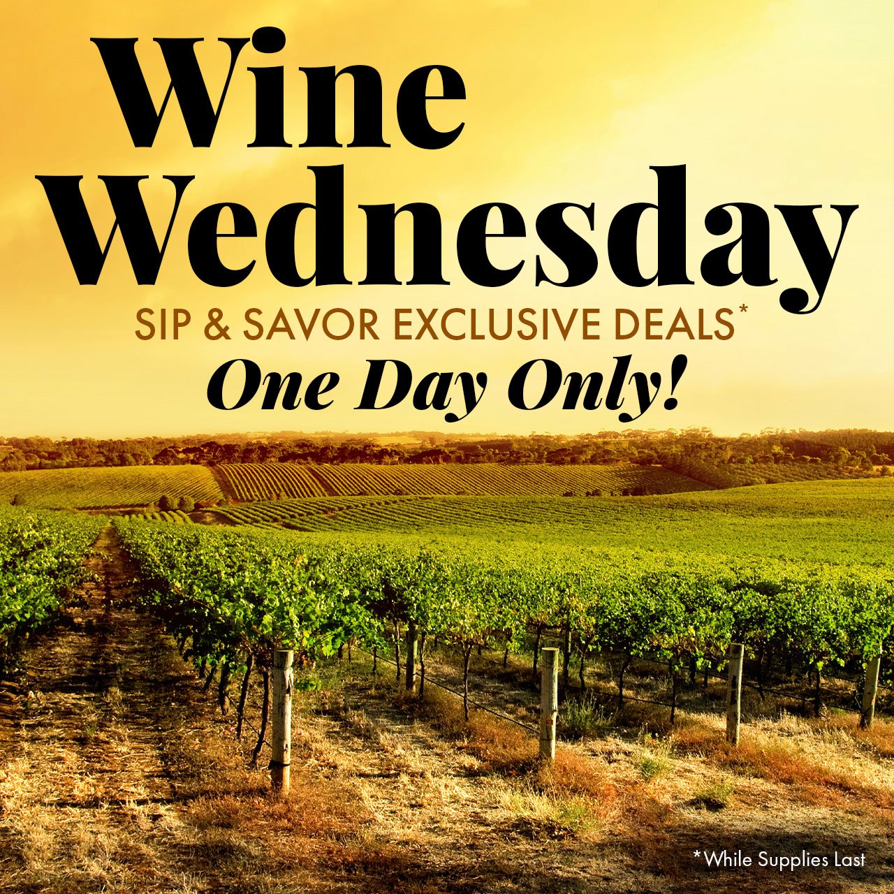 Wine Wednesday. Sip & Savor Exclusive Deals. One Day Only! * While Supplies Last