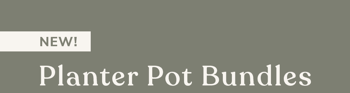 NEW Planter Pot Bundles