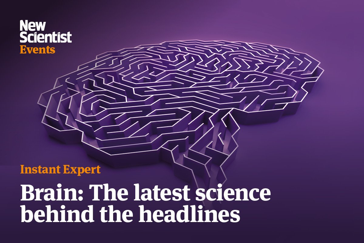 Instant Expert: Brain: The latest science behind the headlines