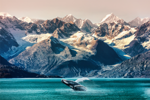 Alaska. Image links to tour