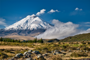 Ecuador. Image links to tour