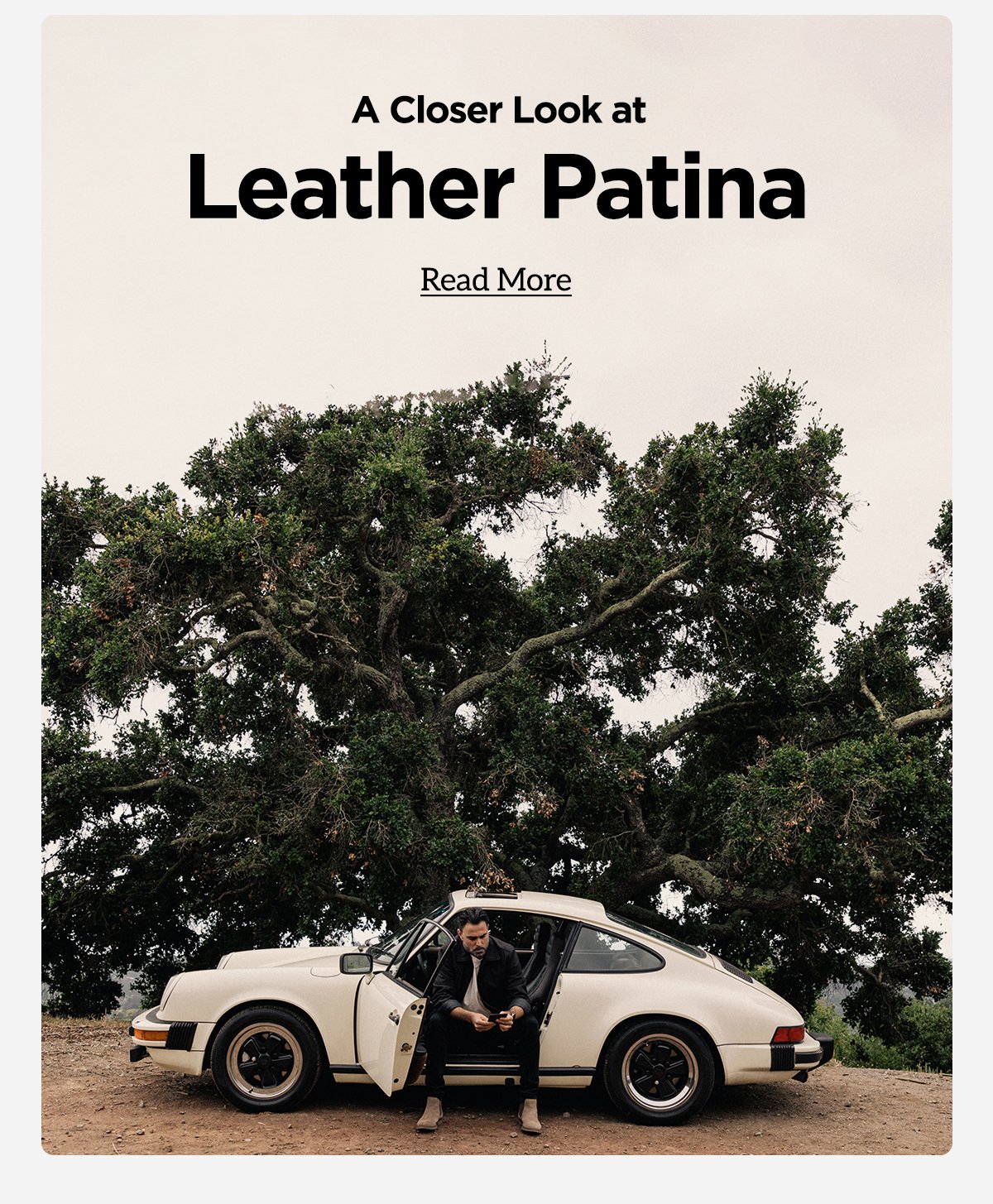 Leather Patina