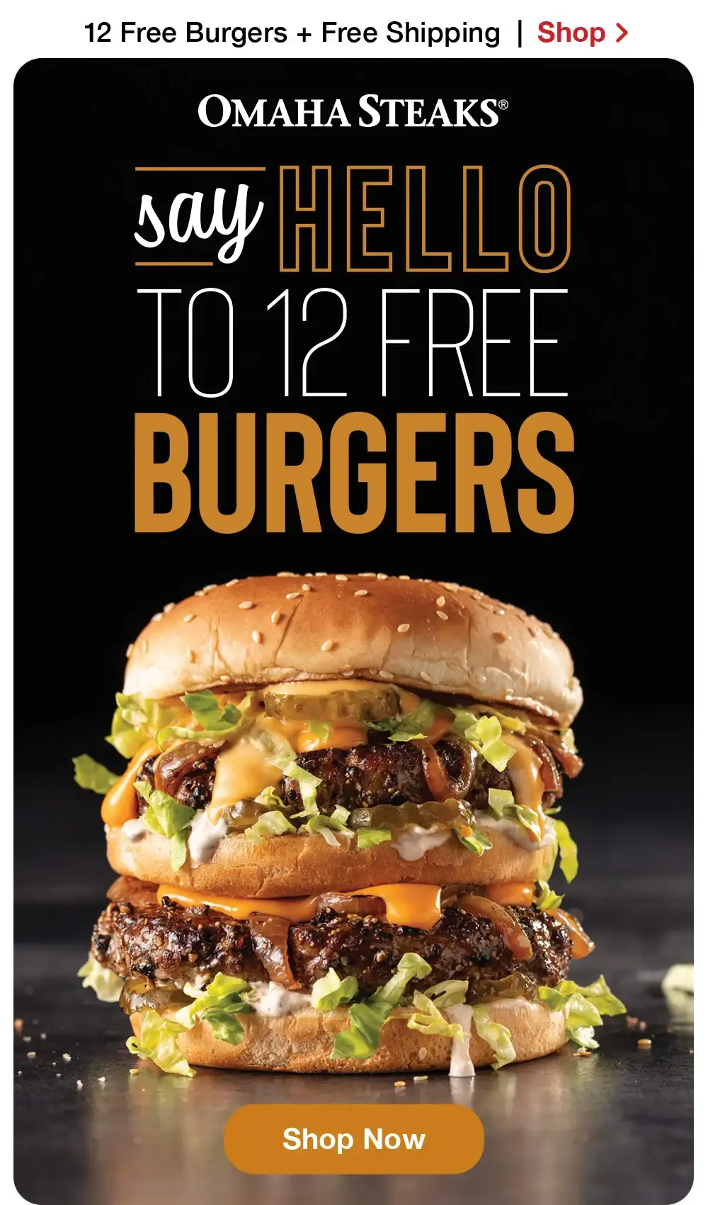 12 free burgers + Free Shipping | SAY HELLO TO ALL-NEW BURGERS | A \\$44 VALUE! | SHOP NOW