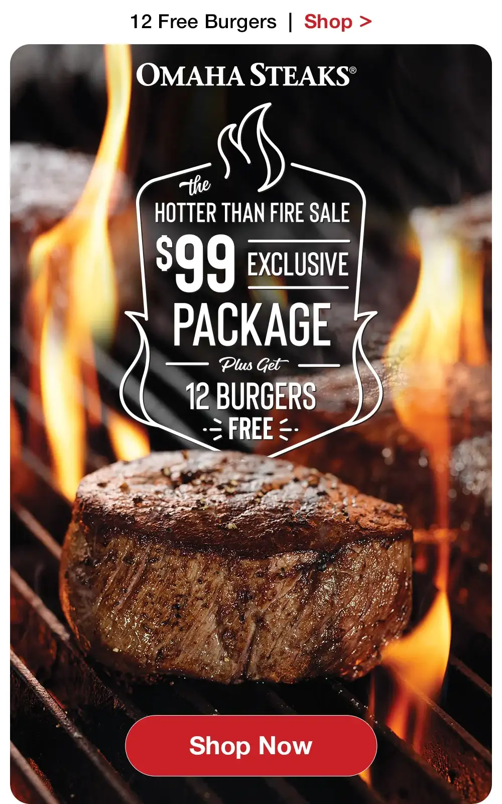 12 FREE BURGERS | the HOTTER THAN FIRE SALE \\$99 EXCLUSIVE PACKAGE | Plus Get 12 BURGERS FREE || Shop Now