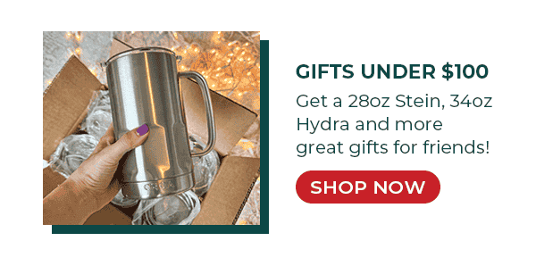 Gifts Under \\$100