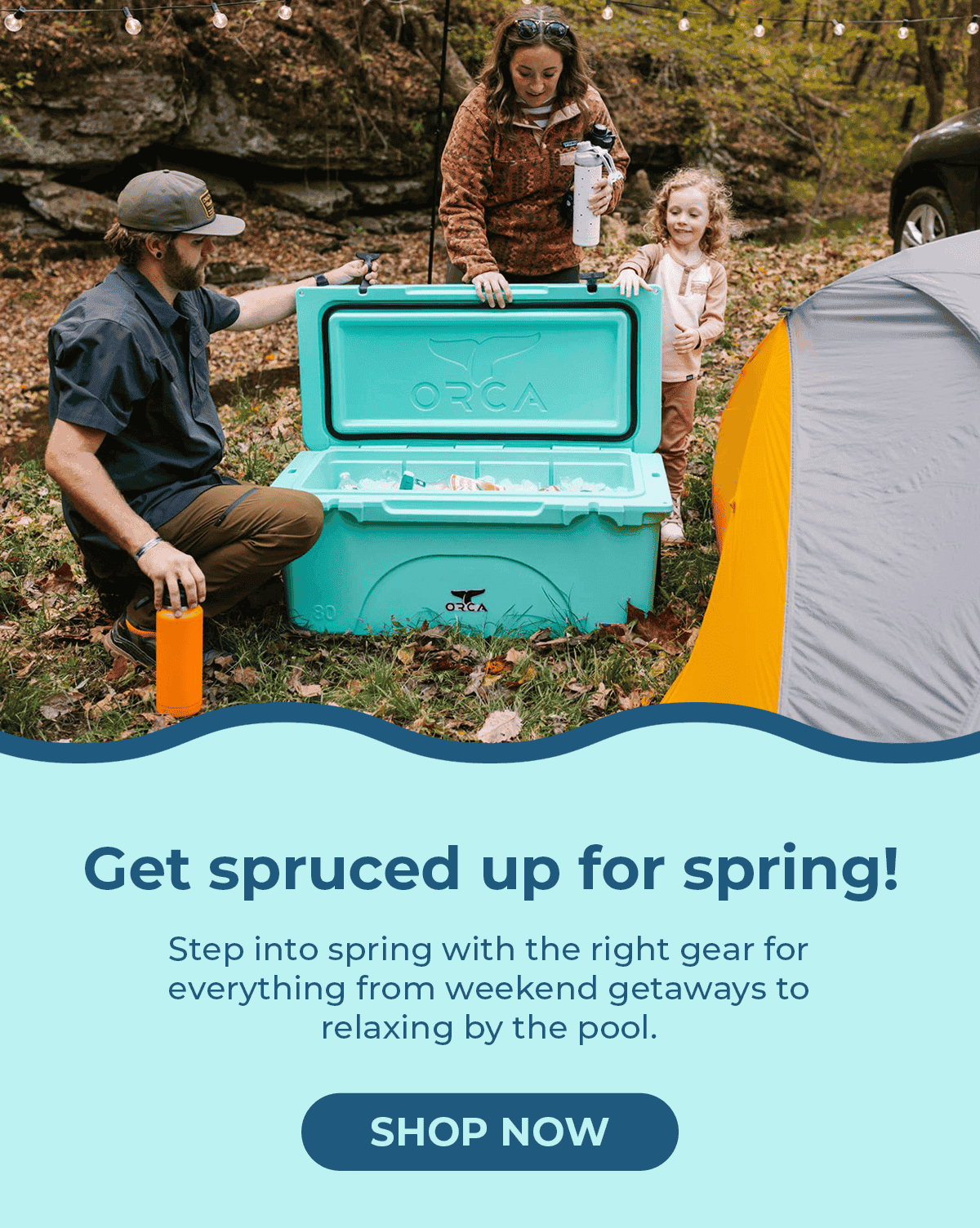 Get spruced up for spring!