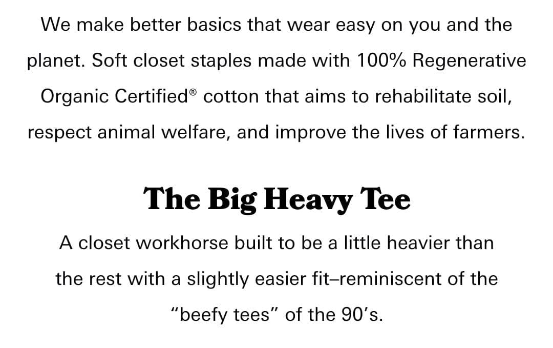 Description of the Big Heavy Tee