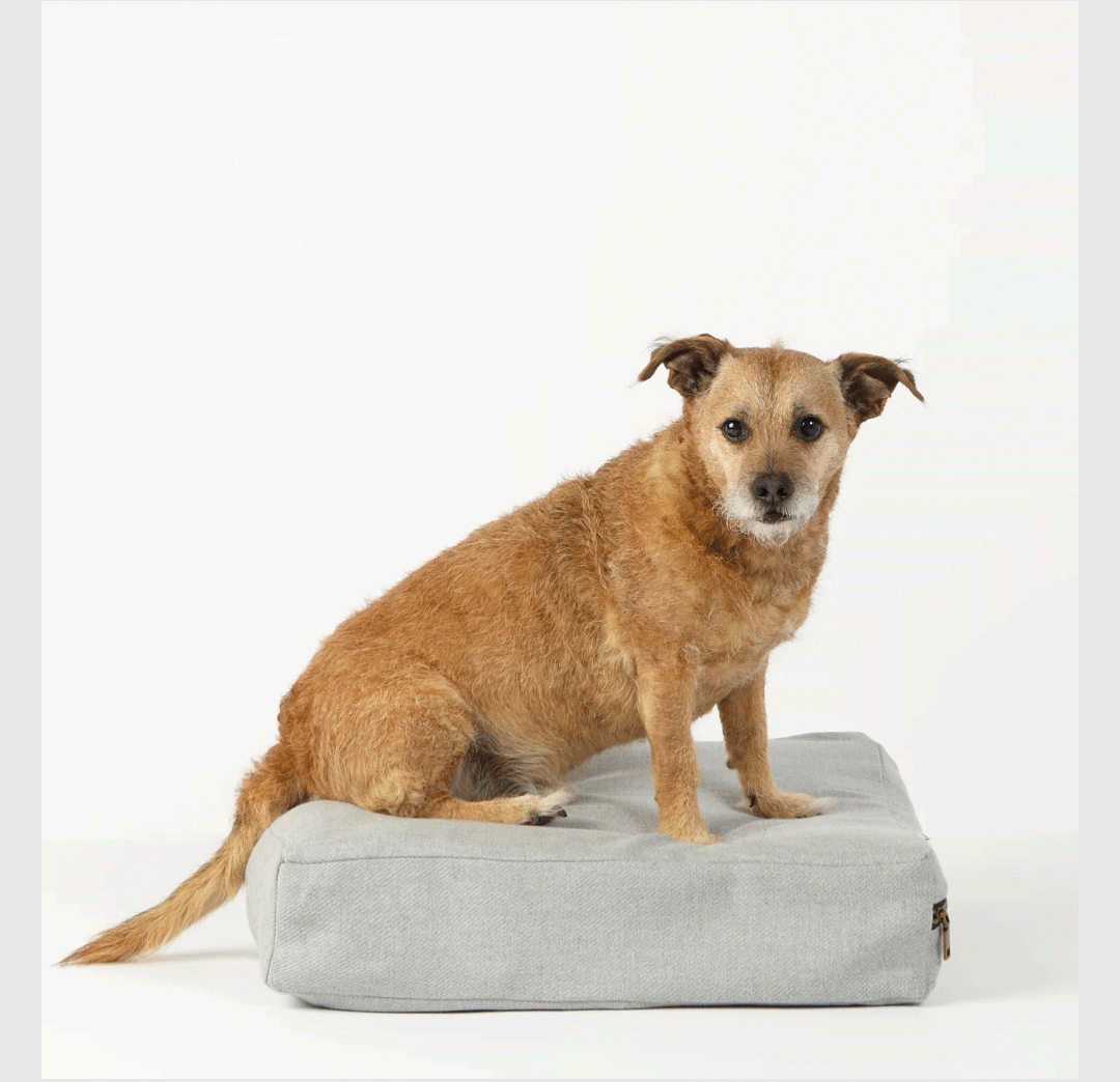 Project Vermont - Dog Beds