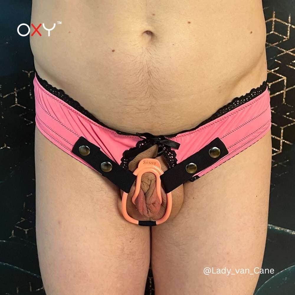 Sissy Lingerie Panties for Chastity Cages