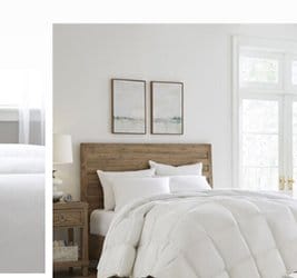 Hotel Organic Cotton Cover Down Comforter