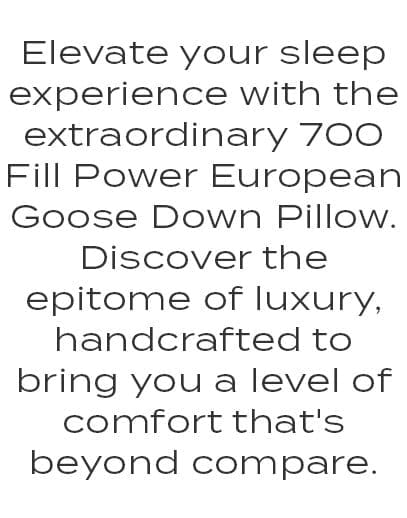 Boutique European Goose Down Pillow