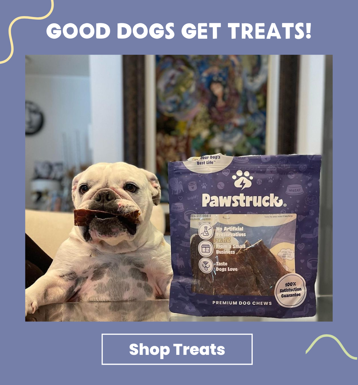 Good Dogs get treats and chews