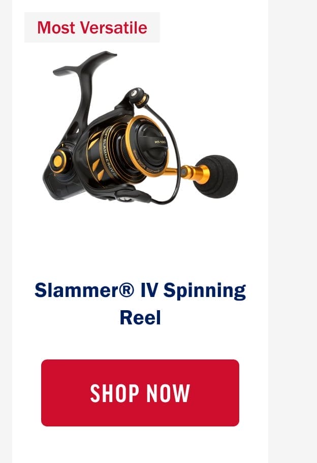 Slammer® IV Spinning Reel