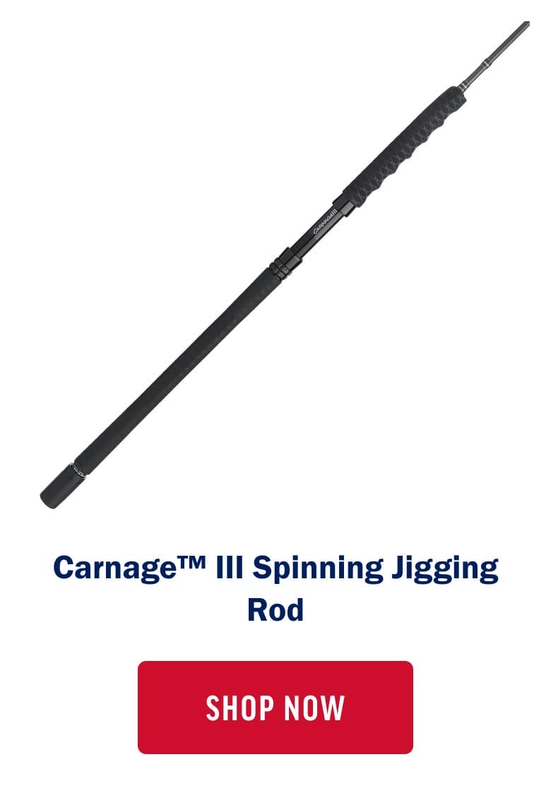 Carnage III Spinning Jigging Rod