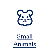 Small Animal