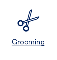 Grooming