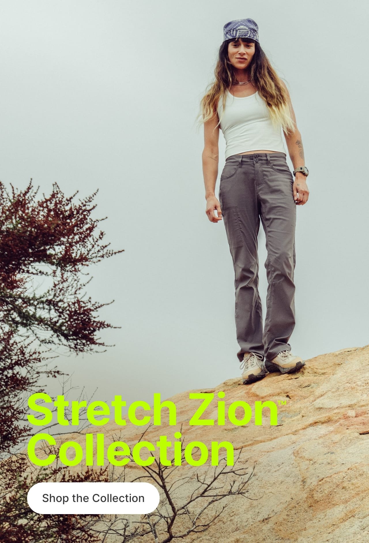 Stretch Zion Collection