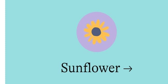 Sunflower →