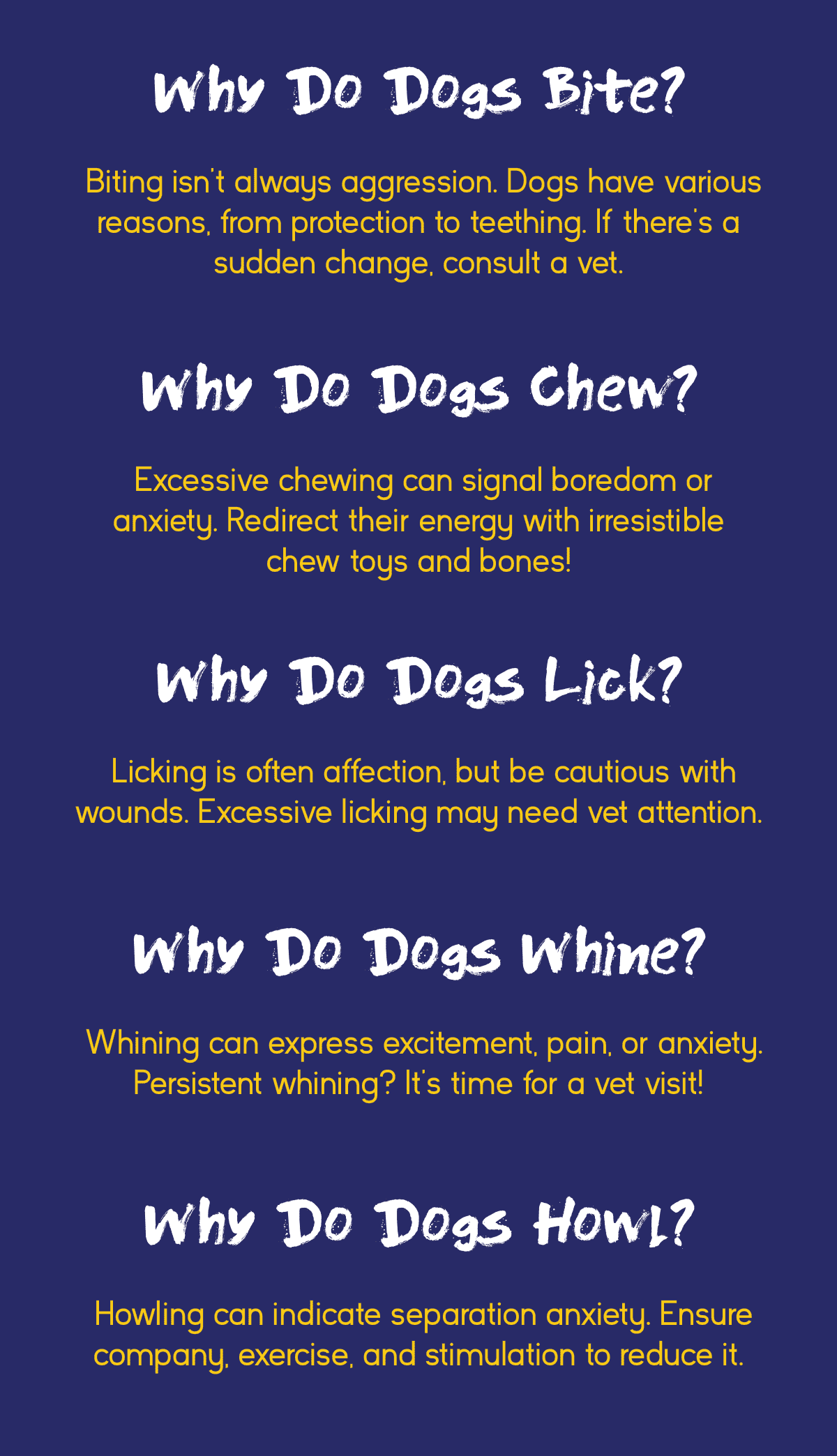 Common dog behaviors explained