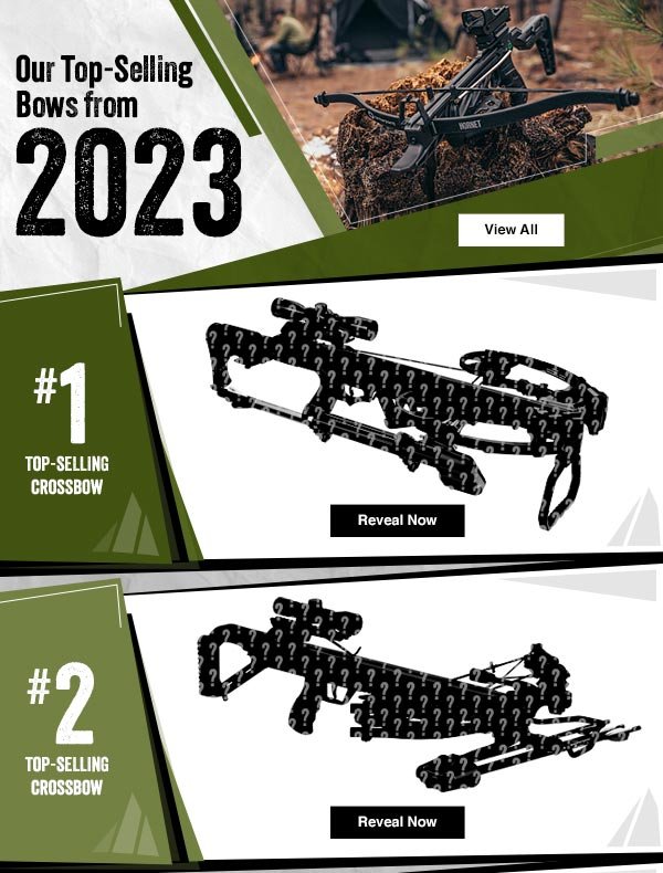 Check Out Our Top-Selling Bows From 2023