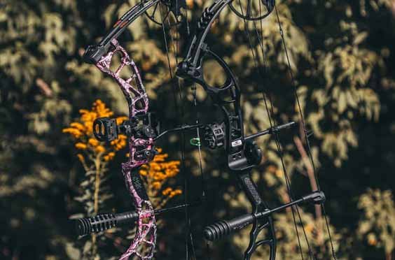 Tips for Buying a Bow
