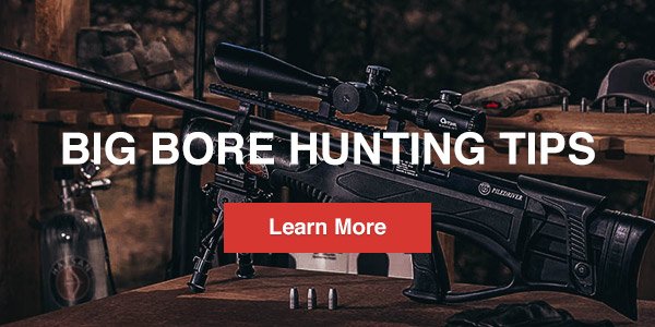 Big Bore Air Rifle Hunting Tips