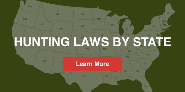 Hunting Laws By State