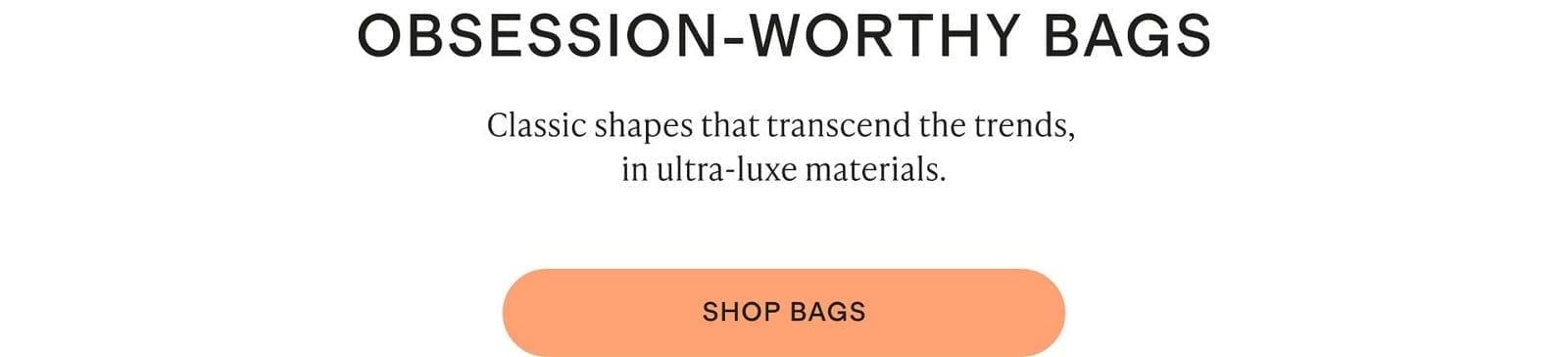 OBSESSION-WORTHY BAGS