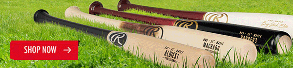 Save on Pro Wood Bats for the Season