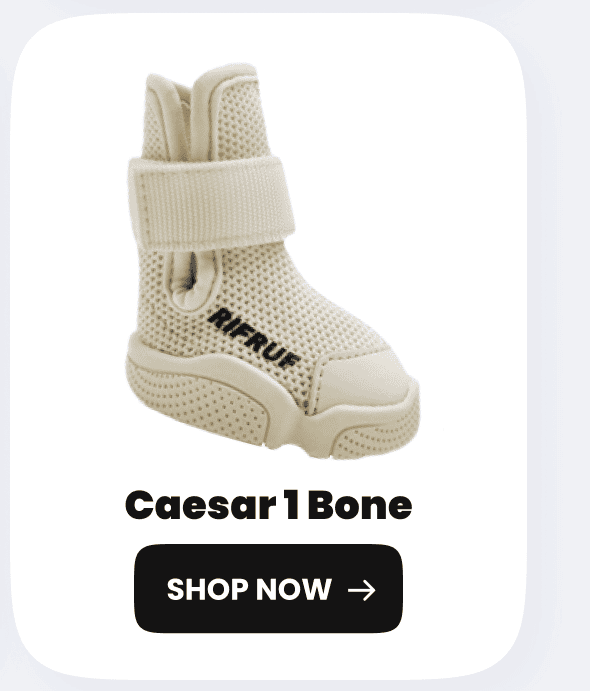 Caesar 1 Bone