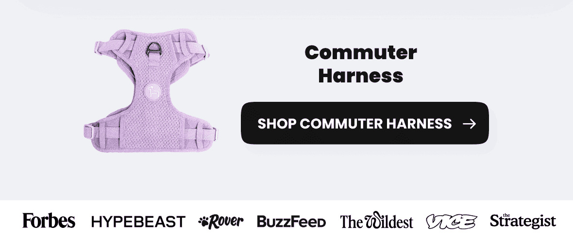 Commuter Harness