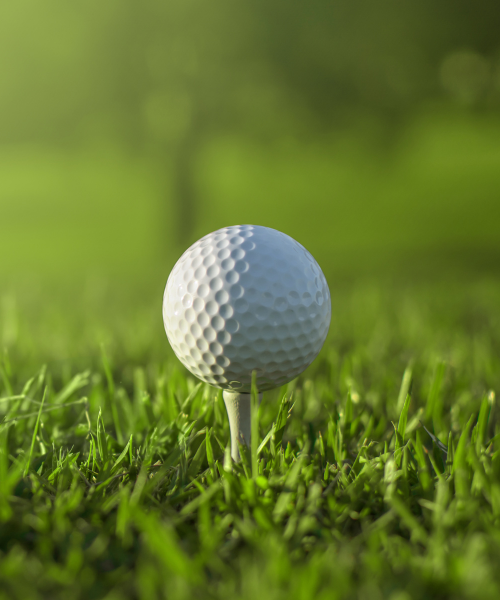 golf pall on grass